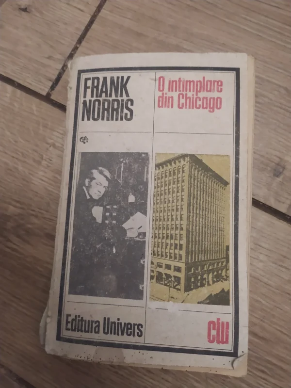 O intimplare din Chicago - Frank Norris
