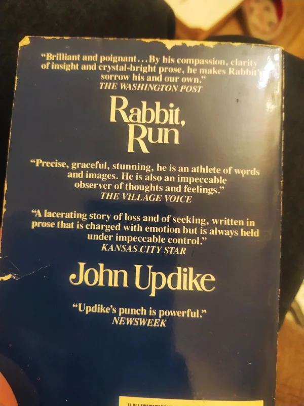 Rabbit Run - John Updike