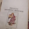 162647482_65b983f178a9f9-82836606IMG_20240130_20.webp Pregled Dinamicke Biohemije - Jovan Andjic