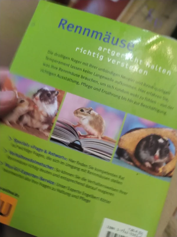 Rennmause glucklich und gesund