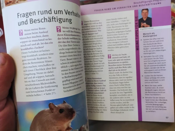 Rennmause glucklich und gesund