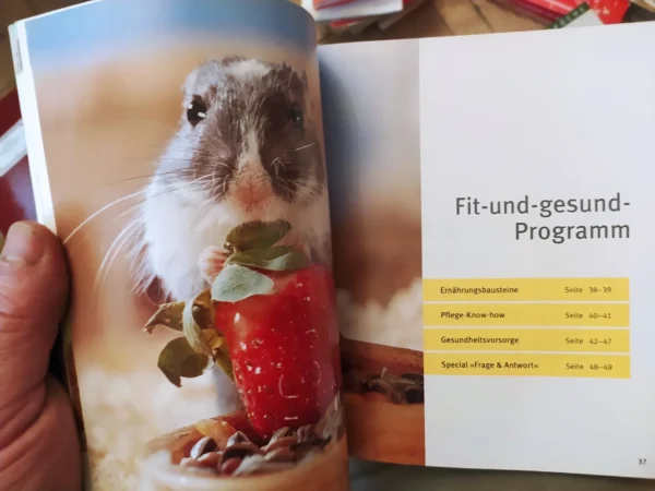 Rennmause glucklich und gesund