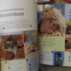 Rennmause glucklich und gesund