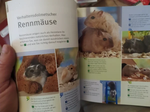 Rennmause glucklich und gesund