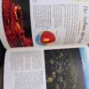 162740989_65bcaf8d8f93f4-82481304IMG_20240202_08.webp Unser Planet Erde