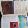 162740989_65bcaf8f307912-67842047IMG_20240202_08.webp Unser Planet Erde