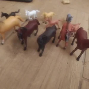 set konjjica 11 komada