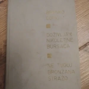 Dozivljaji Nikoletine Bursaca i ne tuguj bronzana strazo