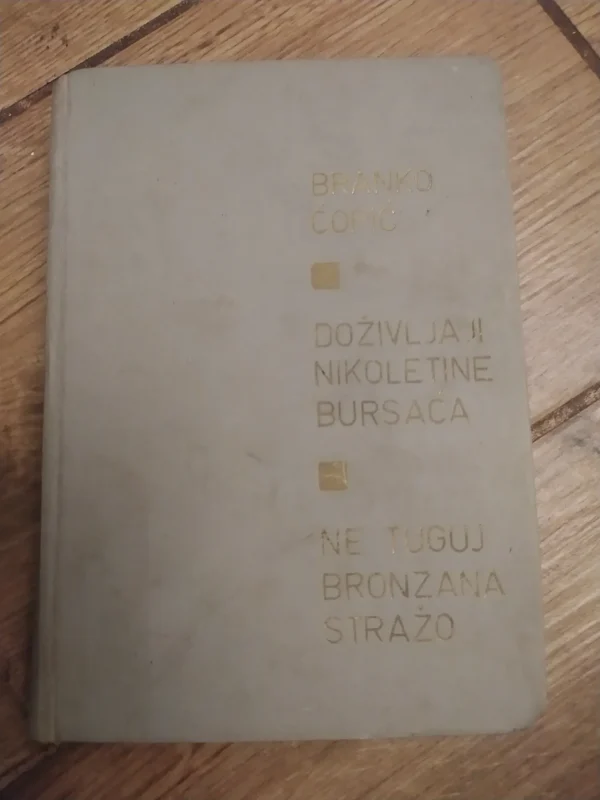 Dozivljaji Nikoletine Bursaca i ne tuguj bronzana strazo