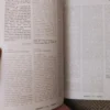 Minerva Existentialism