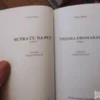 Sutra Cu na Put - Trifun Dimic - Thejara Dromarava