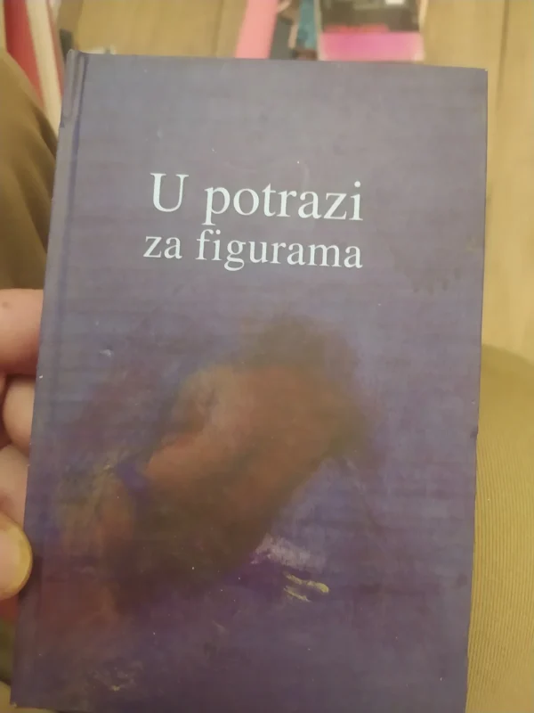 163775536_65dd9745e41de2-40523533IMG_20240227_06.webp U Potrazi za Figurama - Tvrd povez