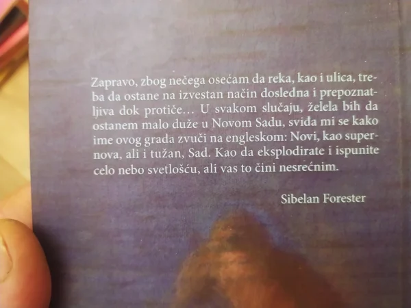 163775536_65dd974ba8d2b9-81085270IMG_20240227_06.webp U Potrazi za Figurama - Tvrd povez