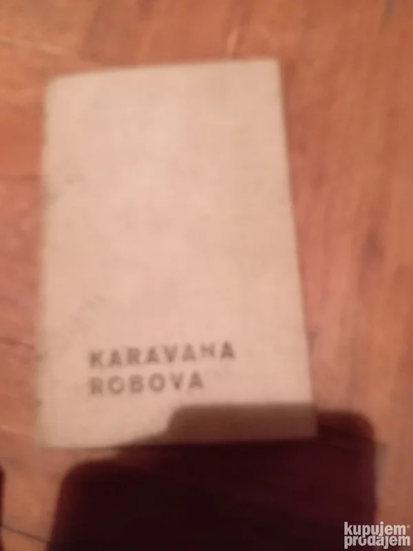 163807761_693310cf3ae089-64528549IMG_20251205_17.webp Dvorac Rodriganda - Karl May - karavana robova