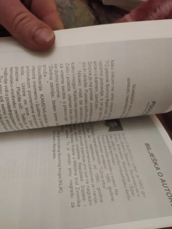 Zapis u kamenu - Borivoj Bijelic Lun