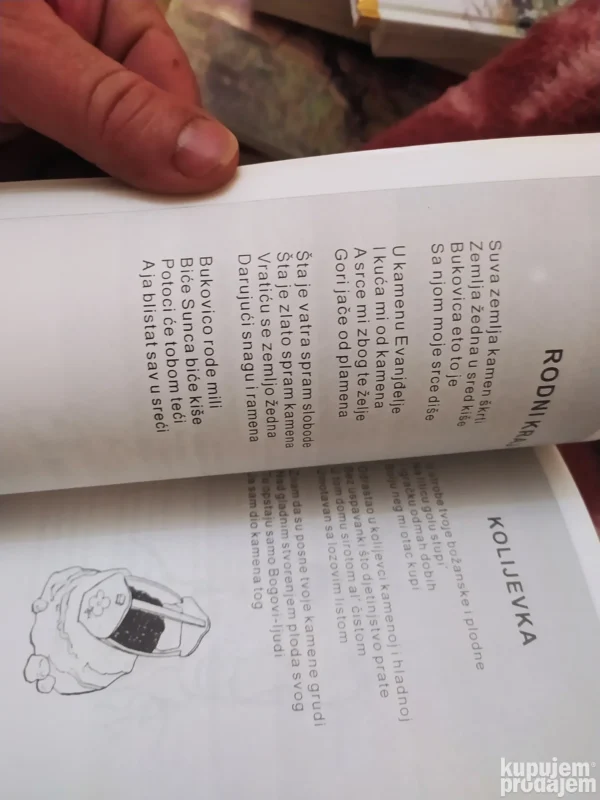 Zapis u kamenu - Borivoj Bijelic Lun