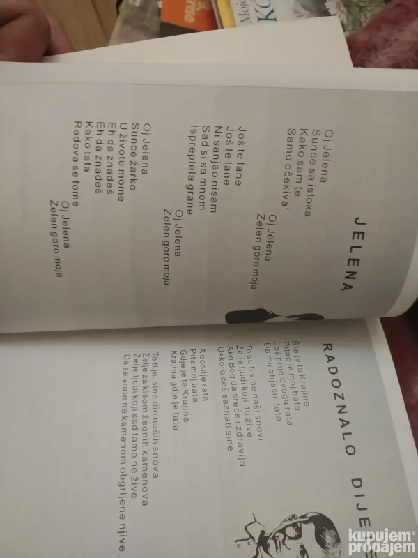 Zapis u kamenu - Borivoj Bijelic Lun