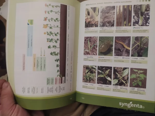 Katalog Proizvoda za moje polje najbolje Syngenta