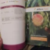 Katalog Proizvoda za moje polje najbolje Syngenta