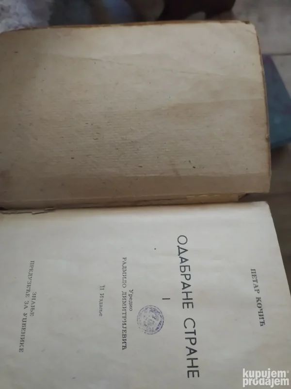 Odabrane strane - Petar Kocic