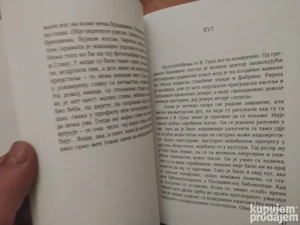 167063146_66499a4cb924f4-23038413IMG_20240518_21.webp Lete Tice Repom - Zvezdana Vusovic Lucic