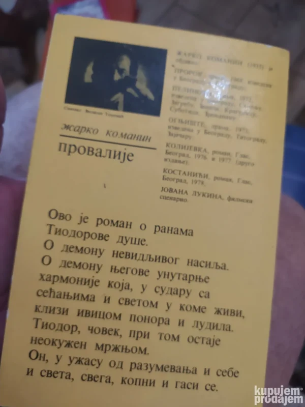 167065297_6649afa6537618-17173176IMG_20240519_09.webp Provalije Zarko Komanic