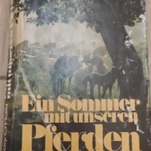 Ein Sommer mit unseren Pferden - Mary o Hara