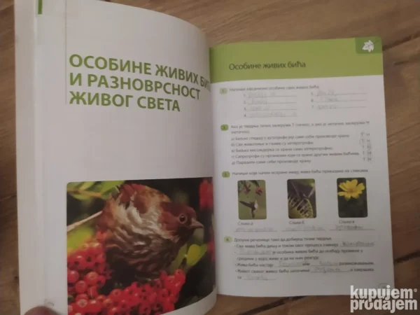 169134864_669232f478a4d4-69316190IMG_20240713_00.webp Biologija za 5 razred radna sveska - gerundijum