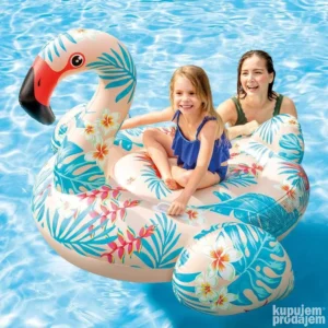 169199553_669517f20fb792-4900240471r15n5zi0L-_AC.webp dusek Flamingo tropical NOVO