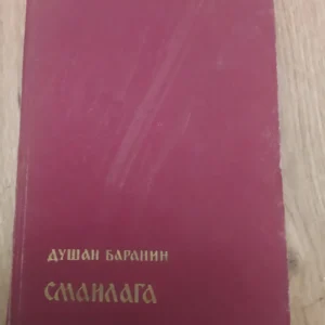 169751713_66ad5804bf0c39-21956854IMG_20240802_23.webp Smailaga - Dusan Baranin