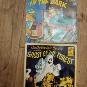 170362572_66c64ec4079c33-60008672IMG_20240821_20.webp The Berenstain Bears - Stain i Jan Berenstain