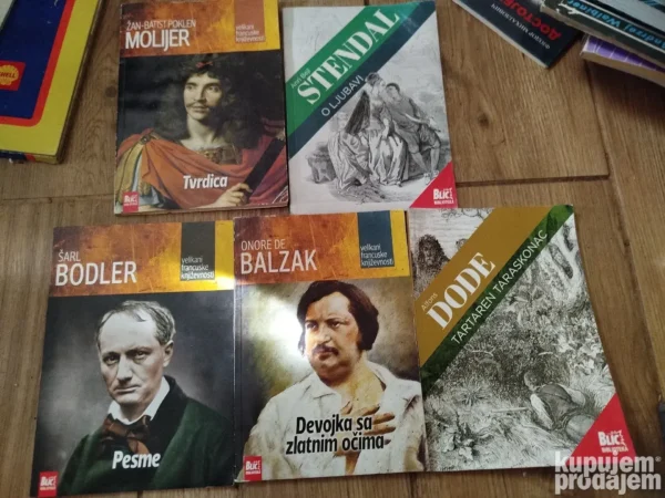 5 knjiga francuskih pisaca