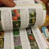 Biologija za 5 razred osnovne skole gerundijum