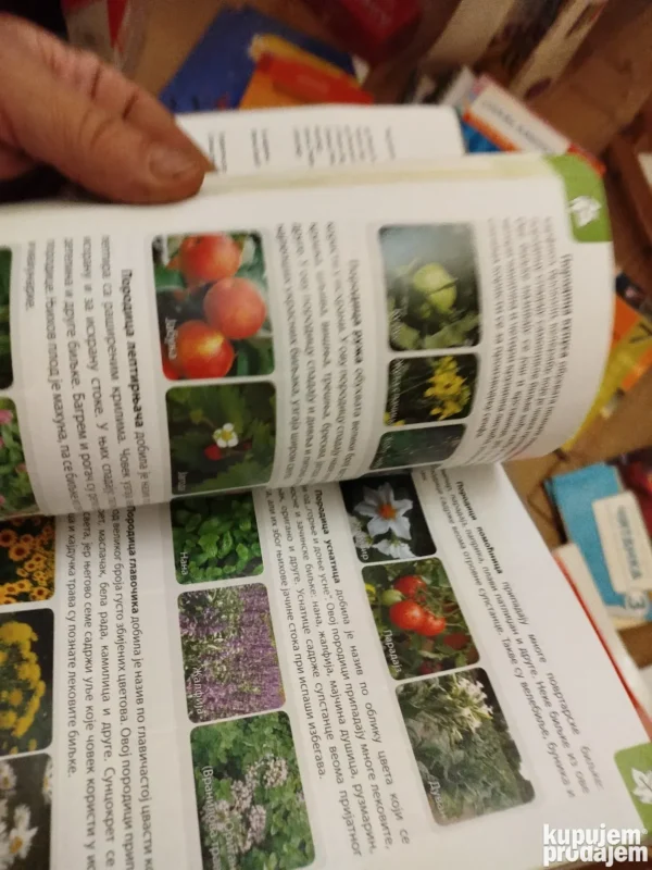 Biologija za 5 razred osnovne skole gerundijum