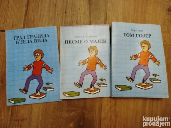 171217105_66e0bd82345cb2-9795274466e0bcfeed3412-.webp lektira za 5 razred osnovne skole