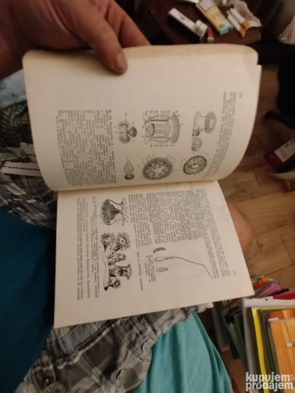 Zoologija Invertebrata - Dr Miloje krunic