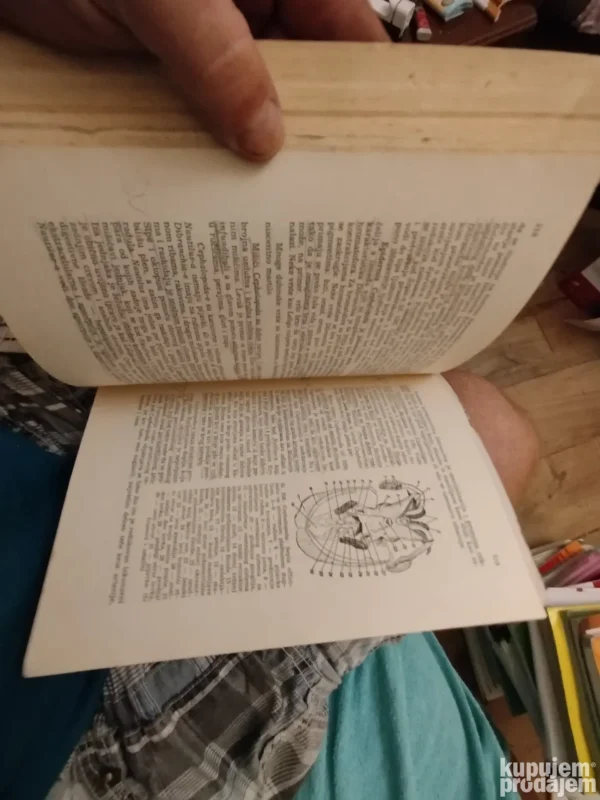 Zoologija Invertebrata - Dr Miloje krunic