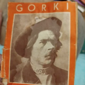172044394_66fb399dcbe404-15584132IMG_20240929_19.webp Pesme - GORKI