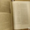 172407775_6705bc8648d085-18464391IMG_20241009_00.webp Cetrdeset Prva