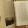 172407775_6705bc8716a217-88352505IMG_20241009_00.webp Cetrdeset Prva