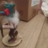 173556727_6724b5f30c0247-55457996IMG_20241031_21.webp Figura maske rucan rad
