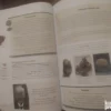 Istorija 5 razred DATASTATUS