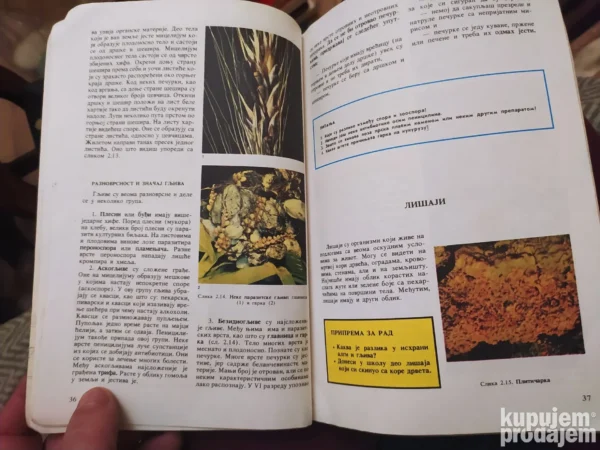 175544976_676603e699aeb5-22553027IMG_20241220_23.webp Biologija za 7 razred osnovne skole