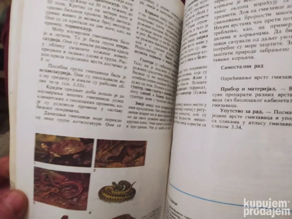 175544976_676603e7372db7-55877038IMG_20241220_23.webp Biologija za 7 razred osnovne skole
