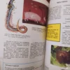 175544976_676603e7d19535-71053955IMG_20241220_23.webp Biologija za 7 razred osnovne skole