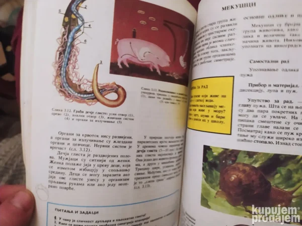 175544976_676603e7d19535-71053955IMG_20241220_23.webp Biologija za 7 razred osnovne skole