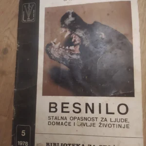 Besnilo - Radovan L Pavlovic