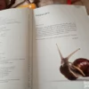 176306814_68d7d6186e2474-28519363IMG_20250925_15.webp biologija za 7 razred osnovne skole national geographic