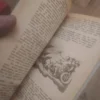 zodijak do 2000 - blizanci - Isidora makstajn