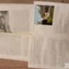 180912264_682a7aafcf2c95-49359107IMG_20250519_00.webp Topola - oplenac - Vrnjacka banja - turisticki vodic